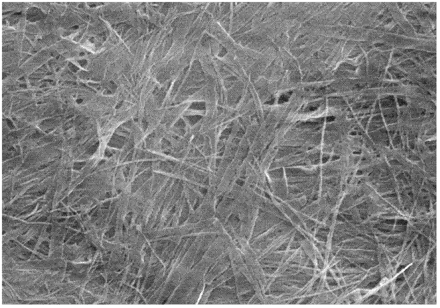 Titanium dioxide nanocomposite and one-step preparation method by utilizing anodic oxidation device