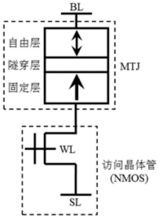 Write circuit and memory