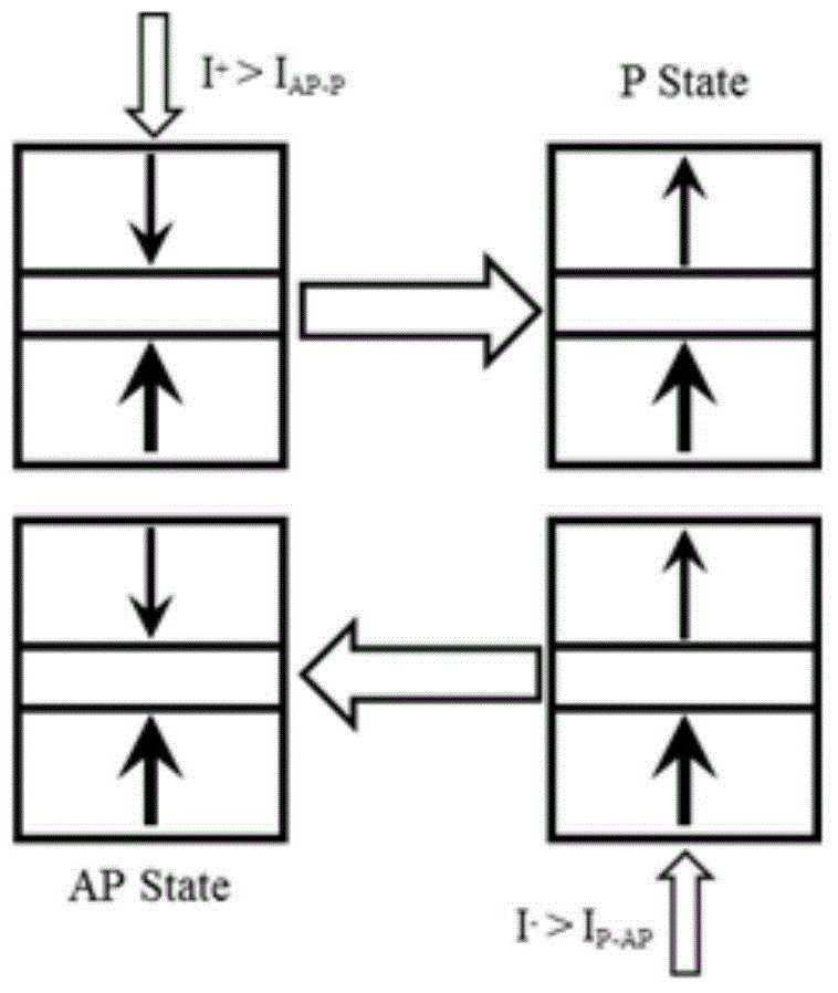 Write circuit and memory