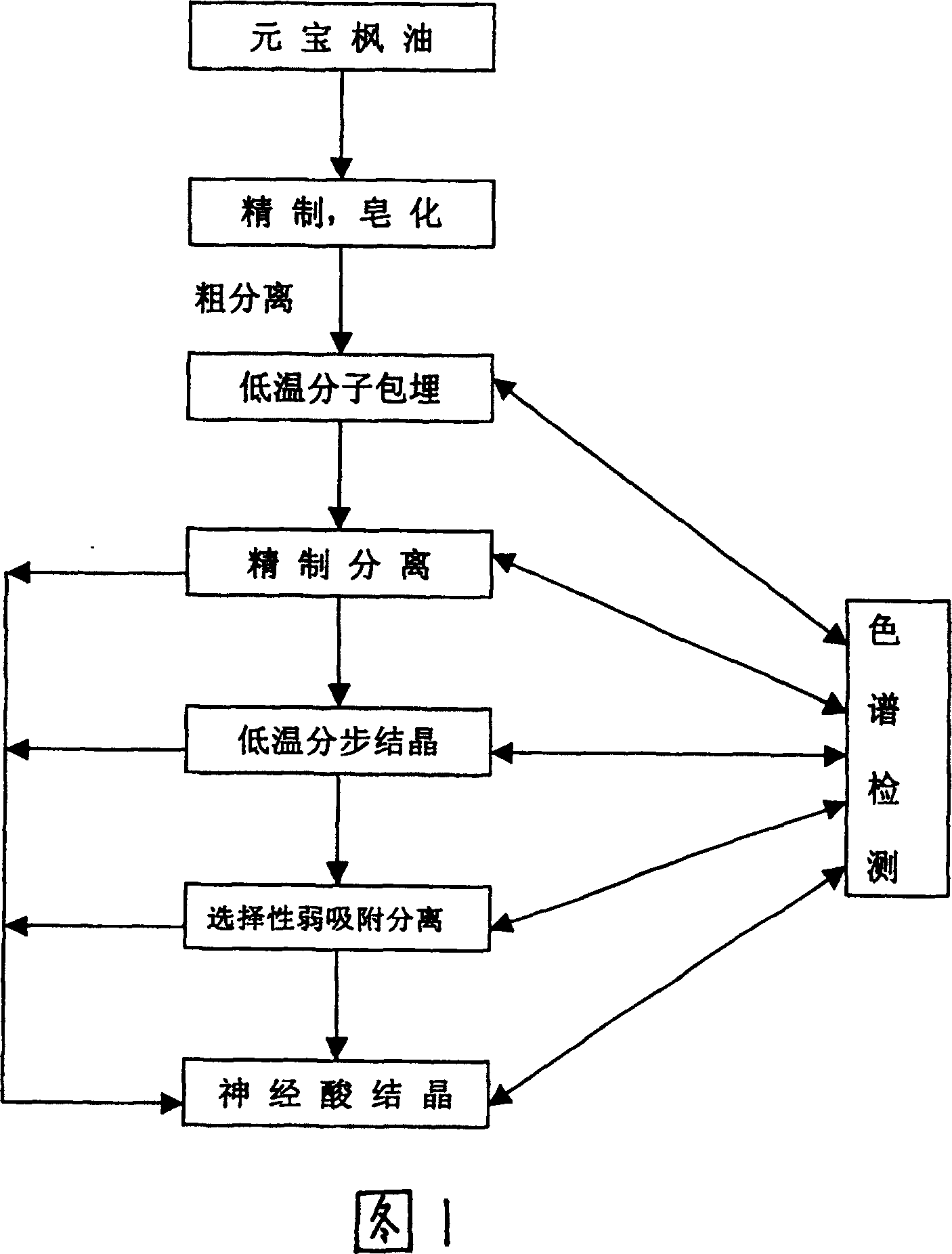 Method for extracting nervonic acid from acer truncatum buge oil