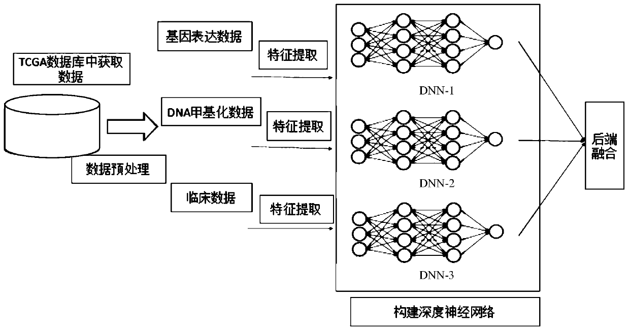 Prediction method for survival time of patient with breast cancer based on deep neural network