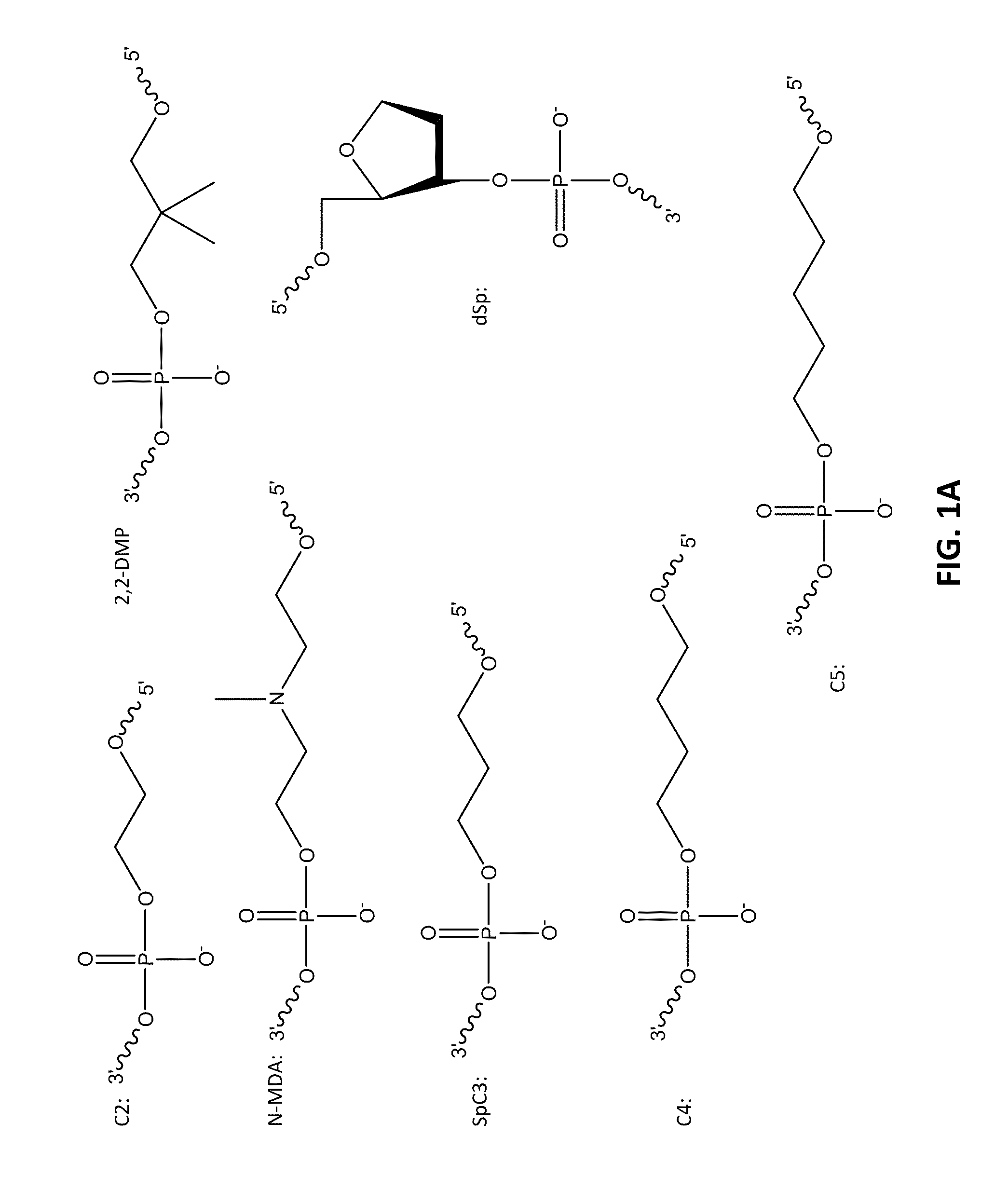 Methods for enhancing nucleic acid hybridization