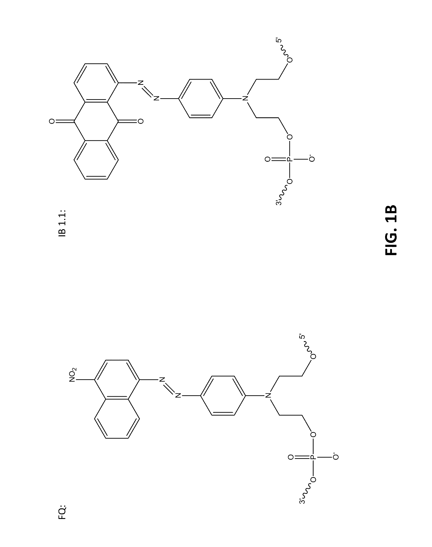 Methods for enhancing nucleic acid hybridization