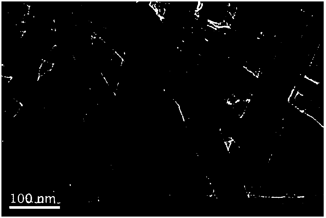 Flaky manganese titanate coated attapulgite CeO2-loaded low-temperature Photo-SCR (selective catalytic reduction) denitration catalyst and preparation method