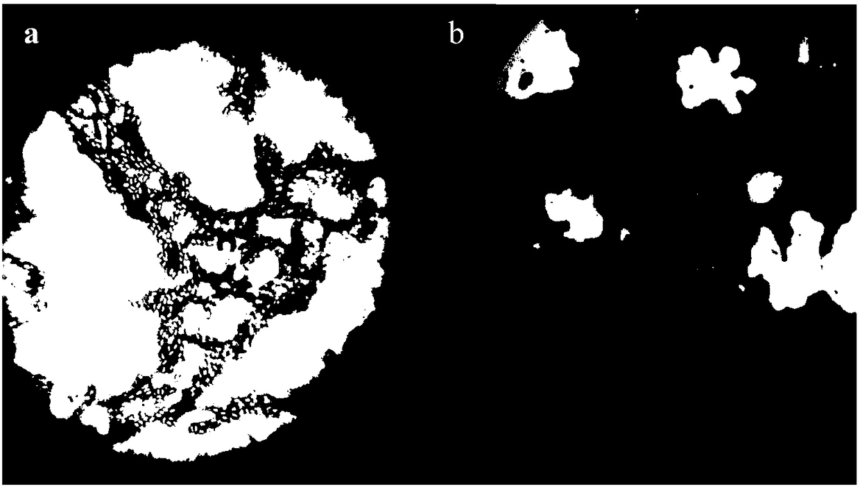 Method for brewing grape vinegar by using fresh grape spirit residual liquid