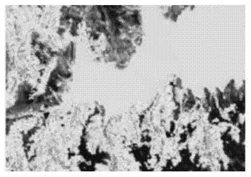 Adaptive Unmixing Method for Hyperspectral Image Based on Region Segmentation