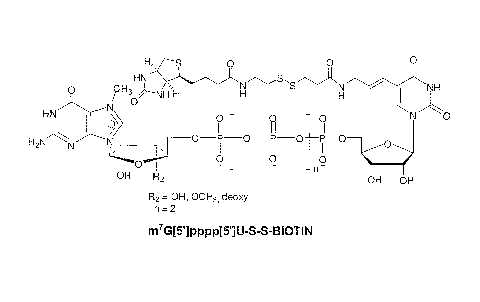 Preparation and isolation of 5′ capped mRNA