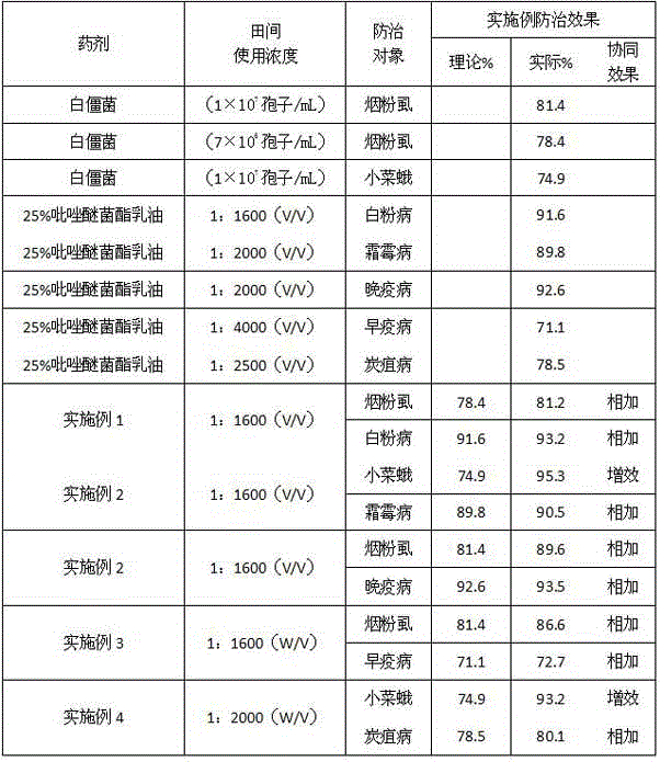 Efficient insectofungicide containing beauveria bassiana and pyraclostrobin and application thereof