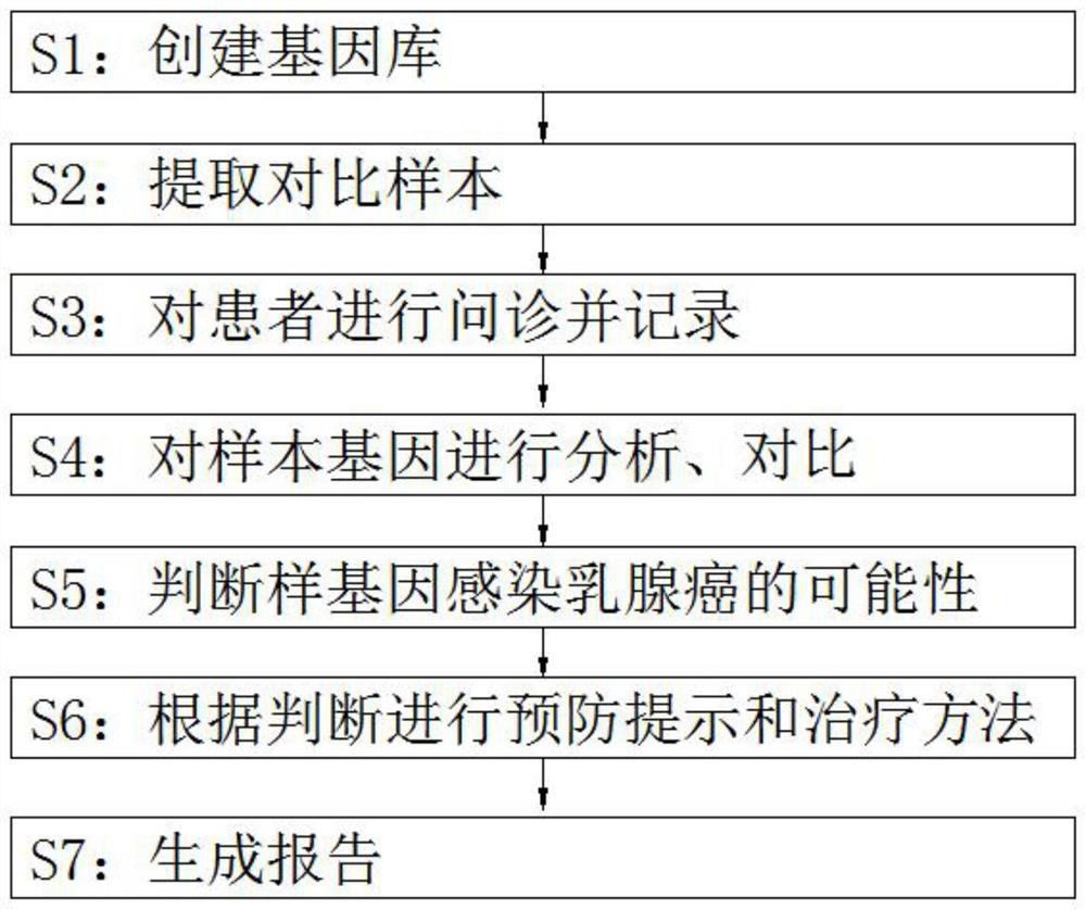 Breast cancer susceptibility gene screening method