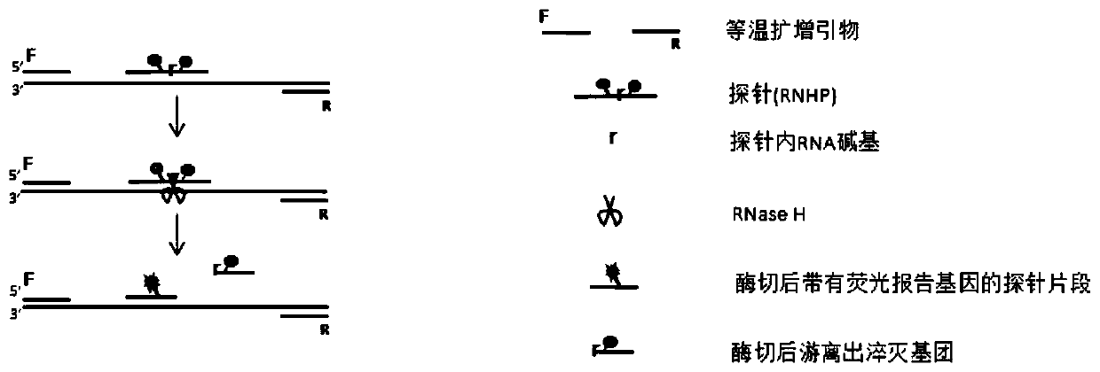 Method for detecting one or more target nucleic acid sequences to be tested by single tube and kit thereof