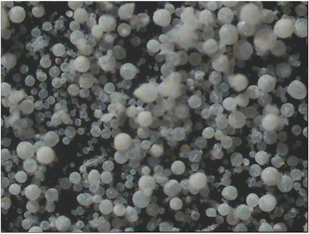 Spherical carrier and olefin polymerization catalyst, preparation methods and application of spherical carrier and olefin polymerization catalyst, and olefin polymerization method