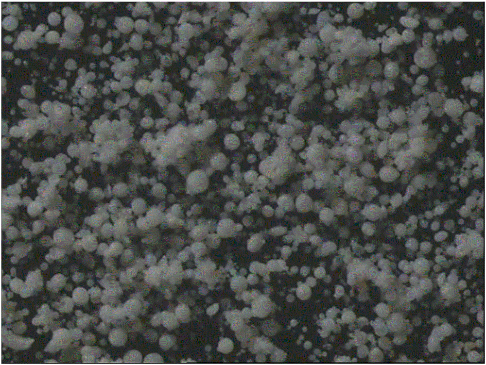 Spherical carrier and olefin polymerization catalyst, preparation methods and application of spherical carrier and olefin polymerization catalyst, and olefin polymerization method