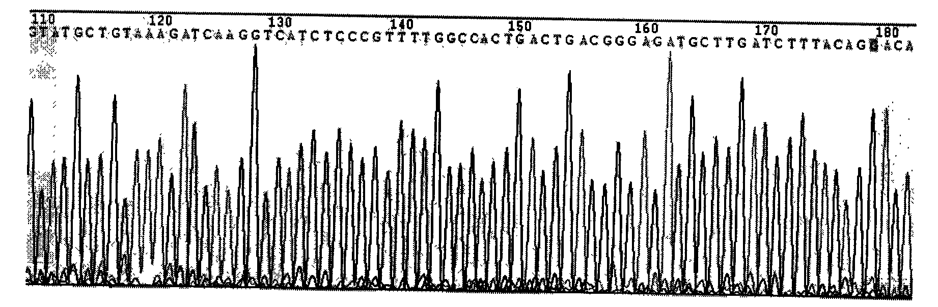 Vector for lowering expression of cell-specific ndrg2 gene