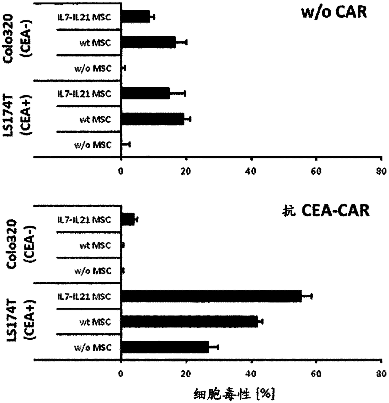 Mesenchymal stem cells to enhance Anti-tumor activity of immunotherapy