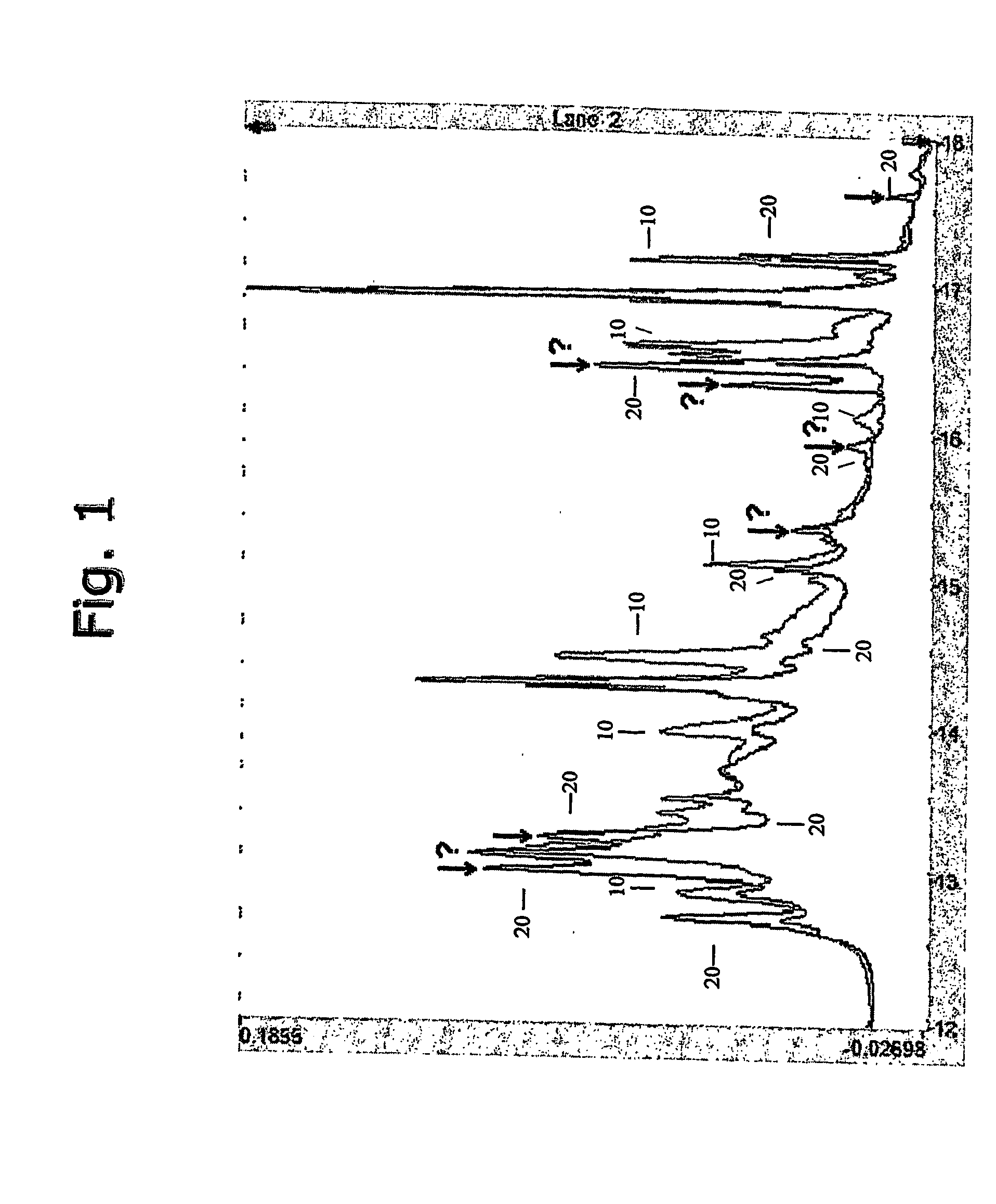 Systems and methods for characterization of molecules