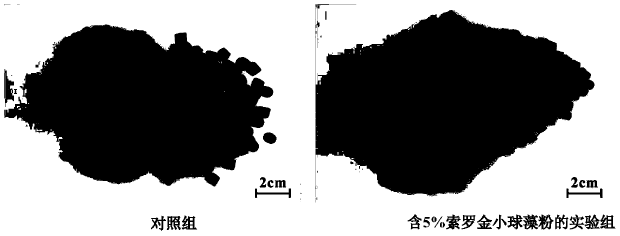 Application of chlorella sorokiniana in functional feed for improving health condition of fishes