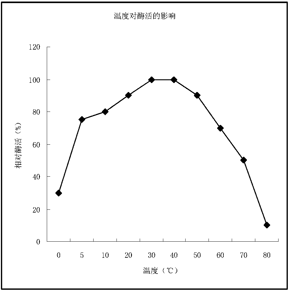 Gelatin composition, and preparation method and application thereof