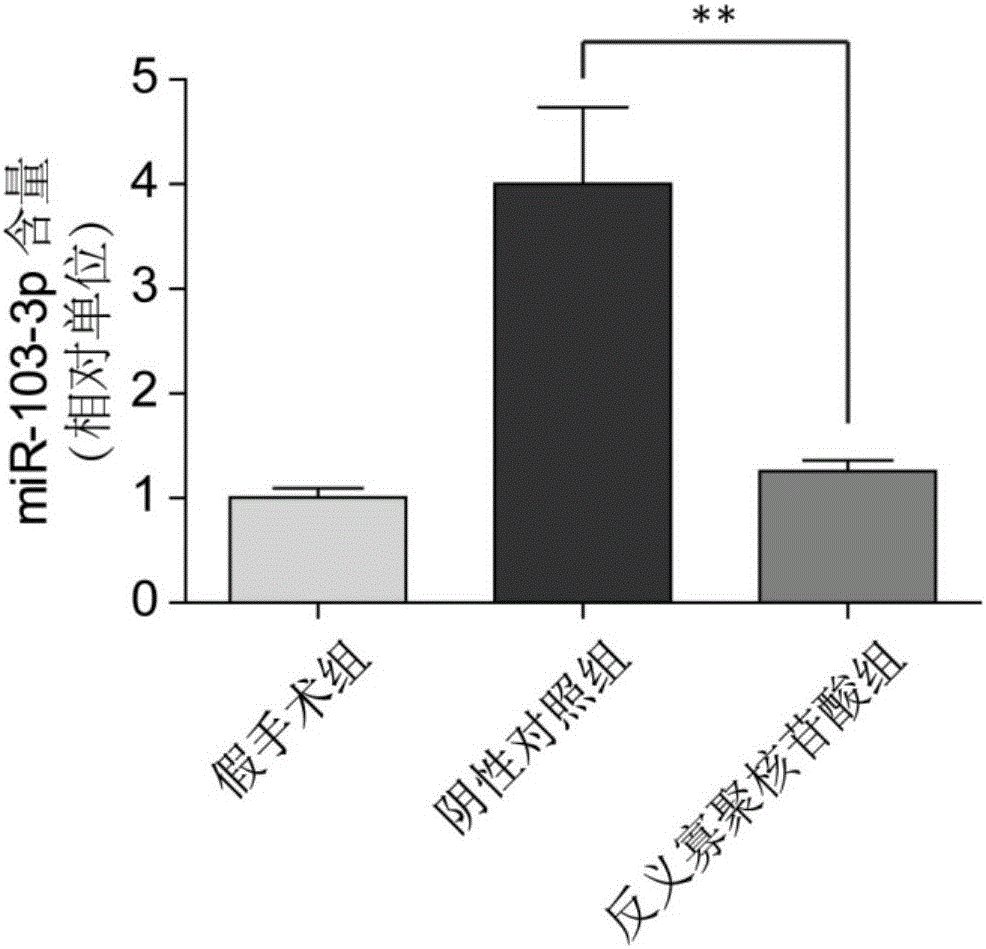 Antisense oligonucleotide for miR-103-3p and application