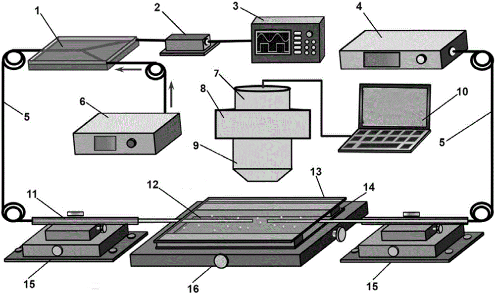 Optical capturing and detecting device and method based on quantum photon nano-jet array