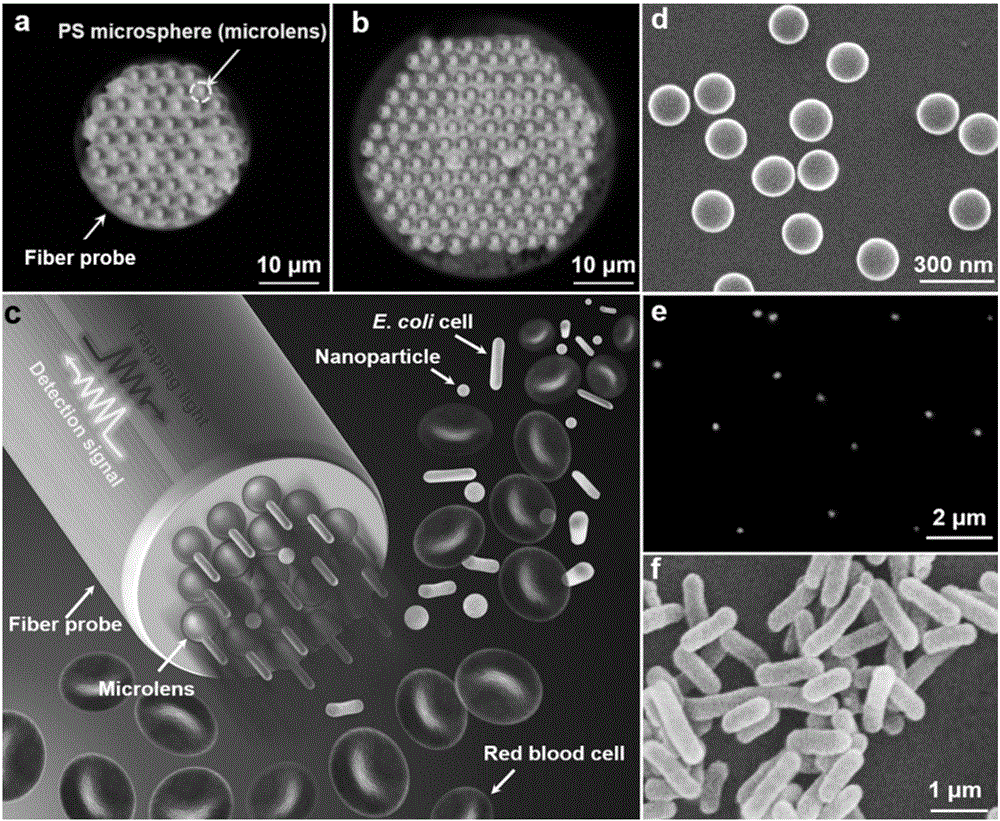 Optical capturing and detecting device and method based on quantum photon nano-jet array