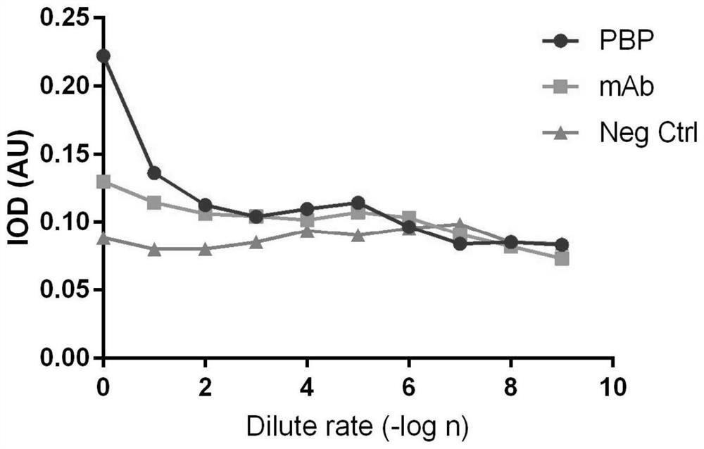 Screening method and application of bacillus subtilis proprotease 9 targeted binding protein