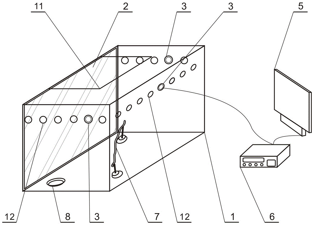 Experimental device for detecting cognitive function of small bird