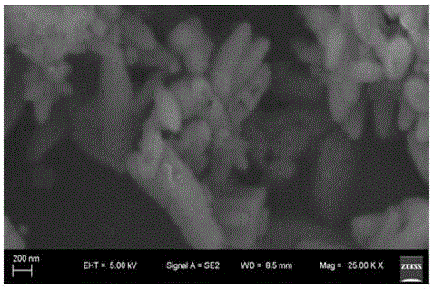 Method for preparing composite polytetrafluoroethene conductive material