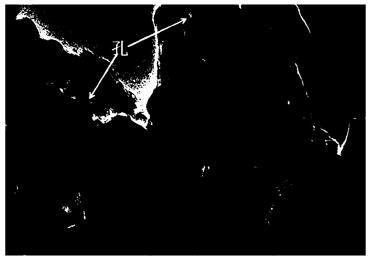 Preparation method of PEG-coated porous rare earth phosphate fluorescent nano material