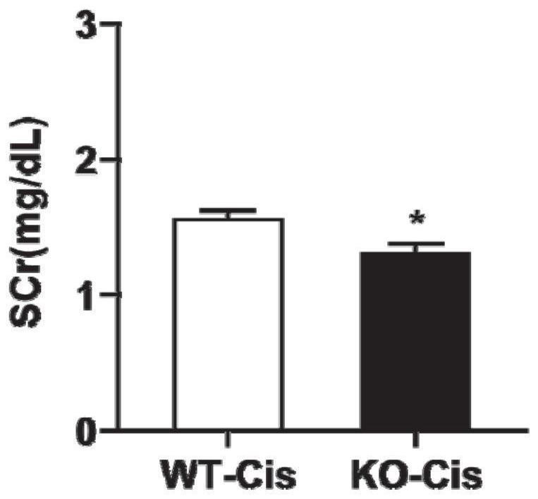 Application of mPGES-2 as drug target for preventing and/or treating kidney diseases