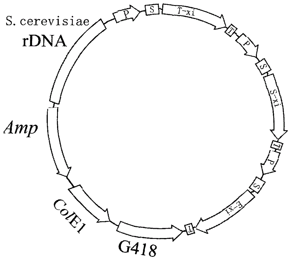 Xylose isomerase producing method