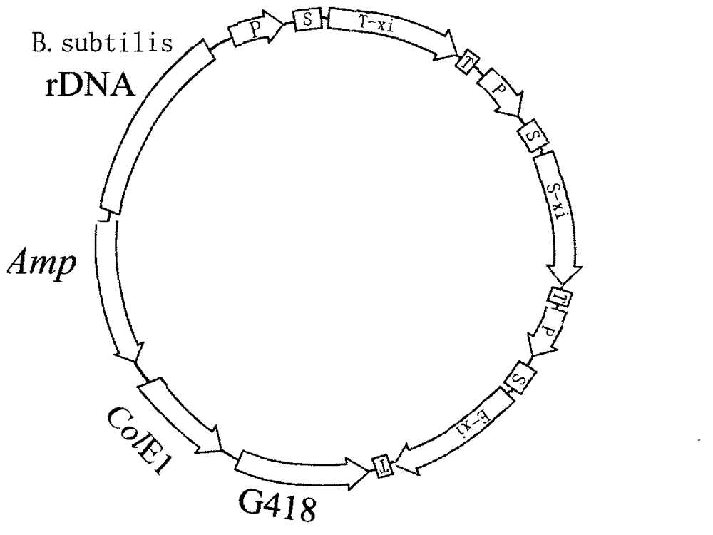 Xylose isomerase producing method