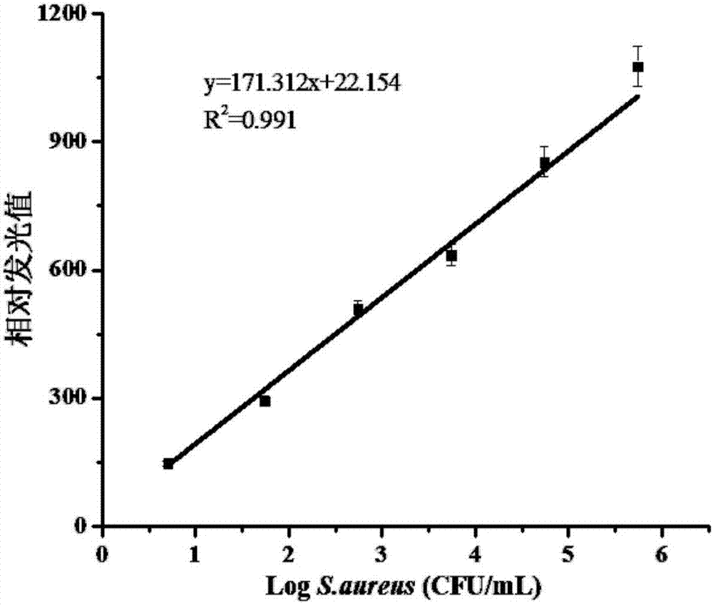 Method for detecting staphylococcus aureus by synthesizing DNA (deoxyribonucleic acid) enzyme through magnetic separation RCA (rolling circle amplification)