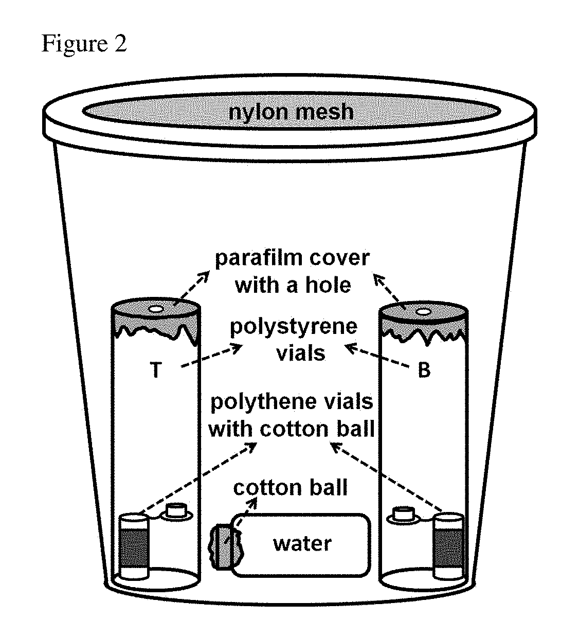 Methods of Attracting Drosophila Suzukii Using Acetoin Blend