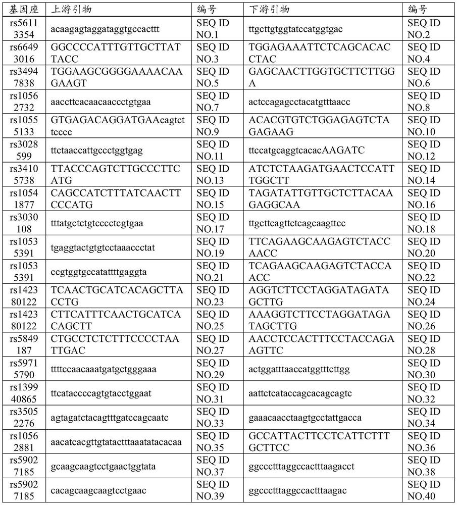 Application of human chromosome InDel gene locus, primer group and product thereof, and individual identification method of detected material