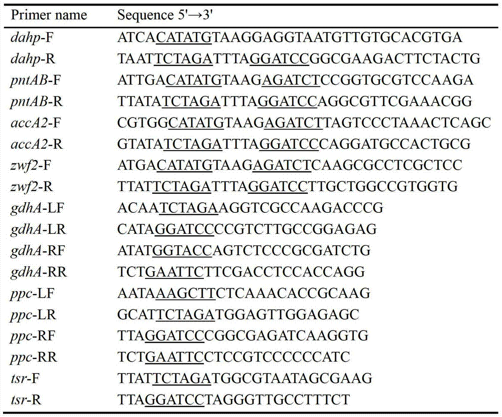 Primary pathway transformation method under guidance of FK506 strain genome-scale metabolic network model