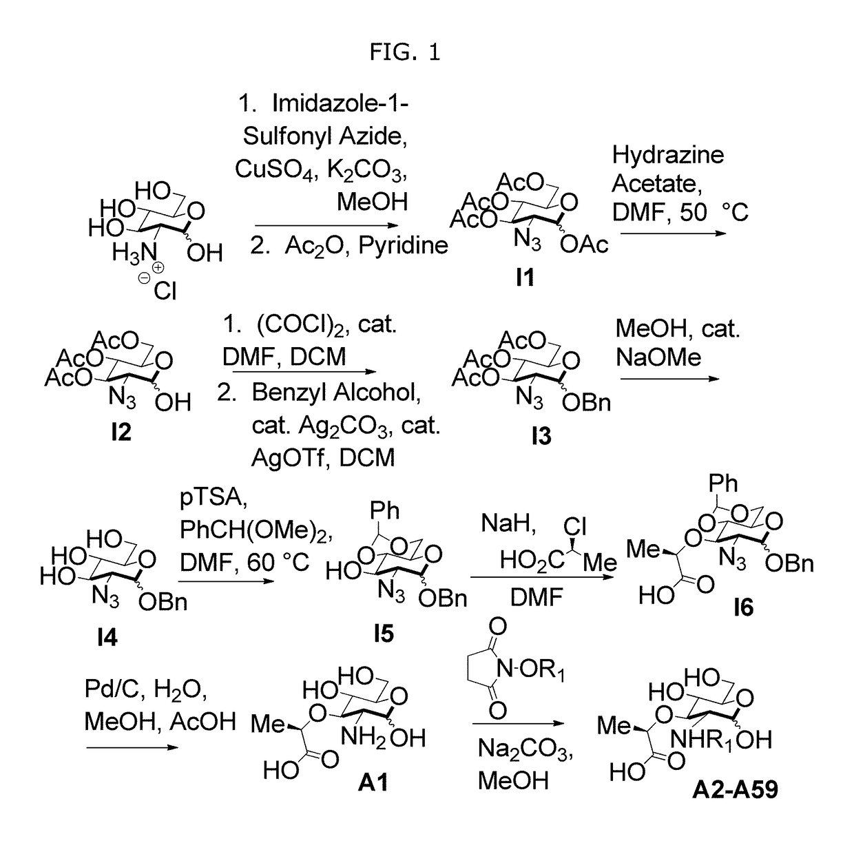 Synthetic n-acetyl-muramic acid derivatives and uses thereof