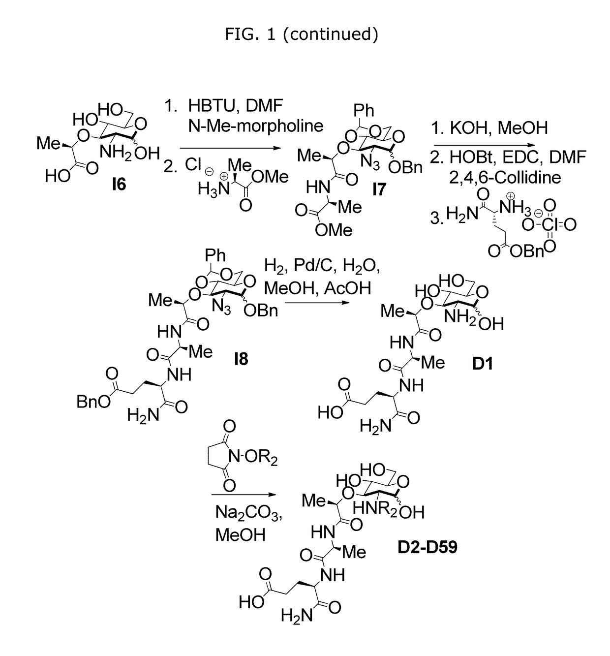 Synthetic n-acetyl-muramic acid derivatives and uses thereof