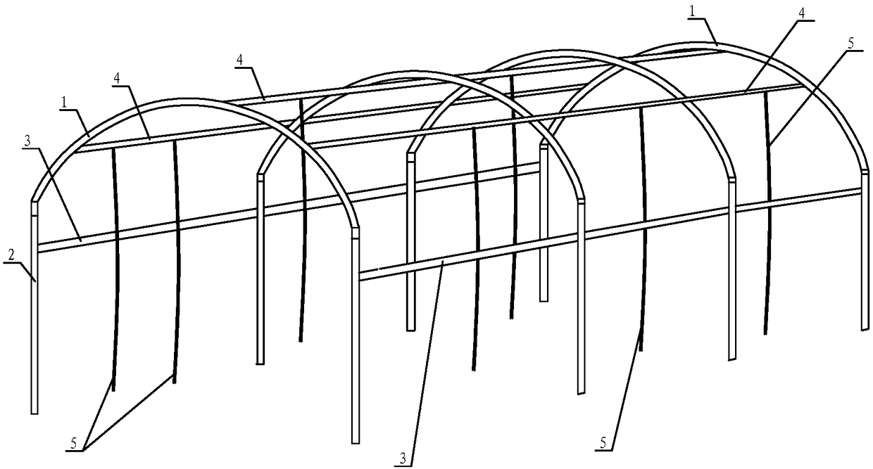 Small watermelon floor stand and ground climbing combined cultivation method and combined cultivation shack