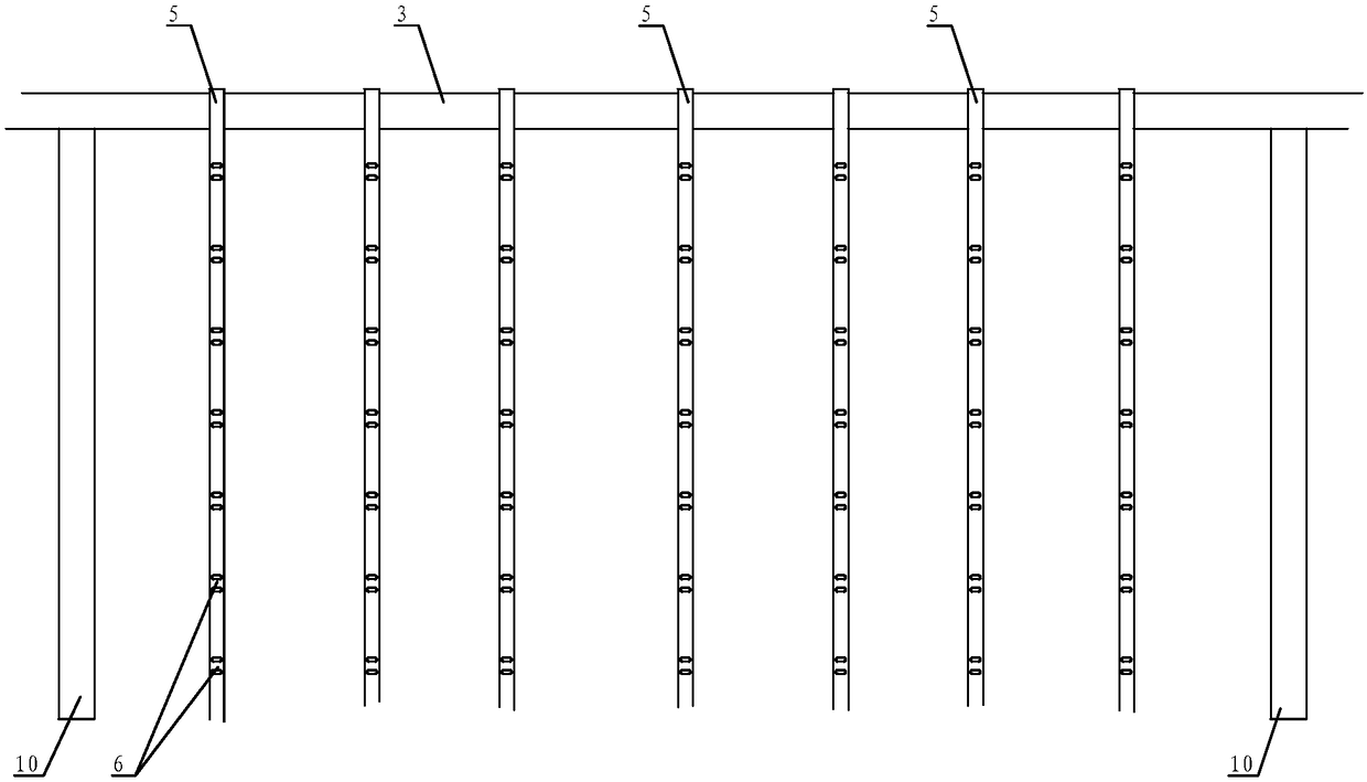 Small watermelon floor stand and ground climbing combined cultivation method and combined cultivation shack