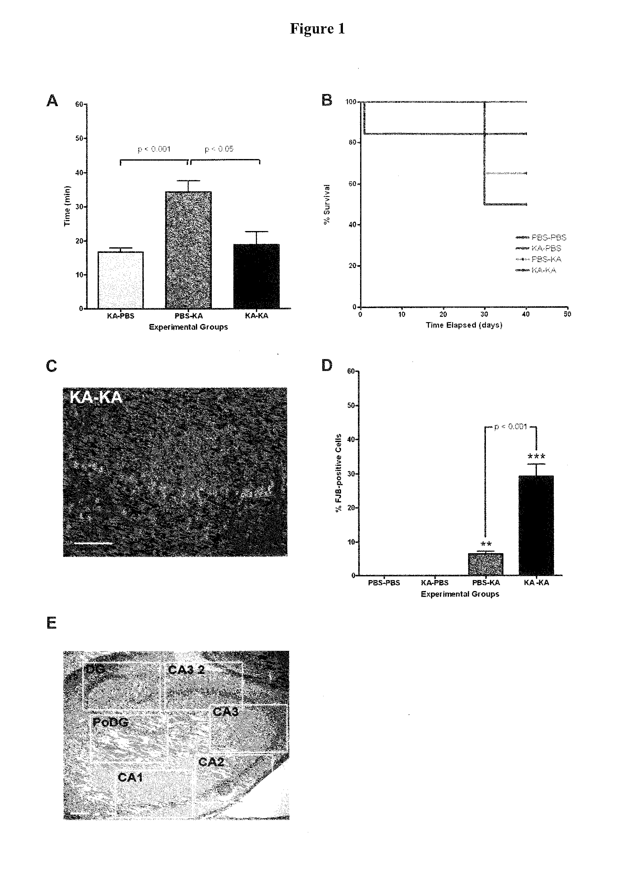 Compositions and treatments for seizure-related disorders