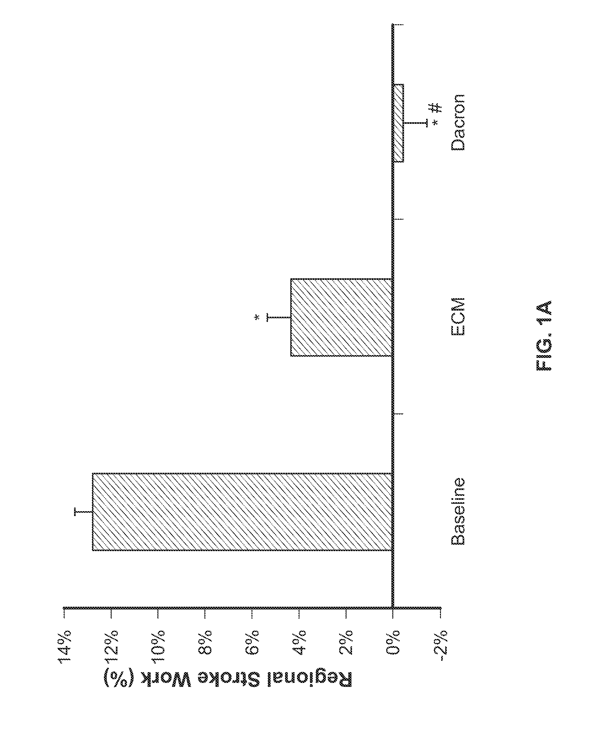 Use of human stem cells and/or factors they produce to promote adult mammalian cardiac repair through cardiomyocyte cell division