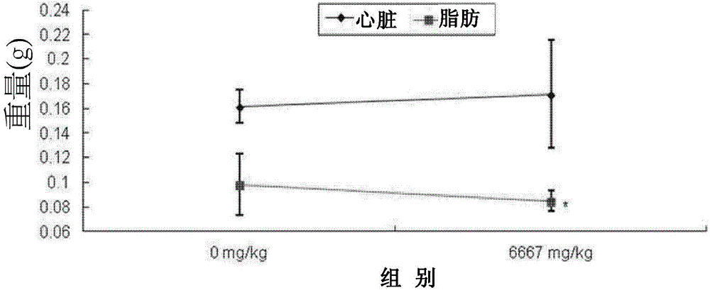 Anti-obesity strain of lactic acid bacteria and uses in food and pharmaceutical compositions