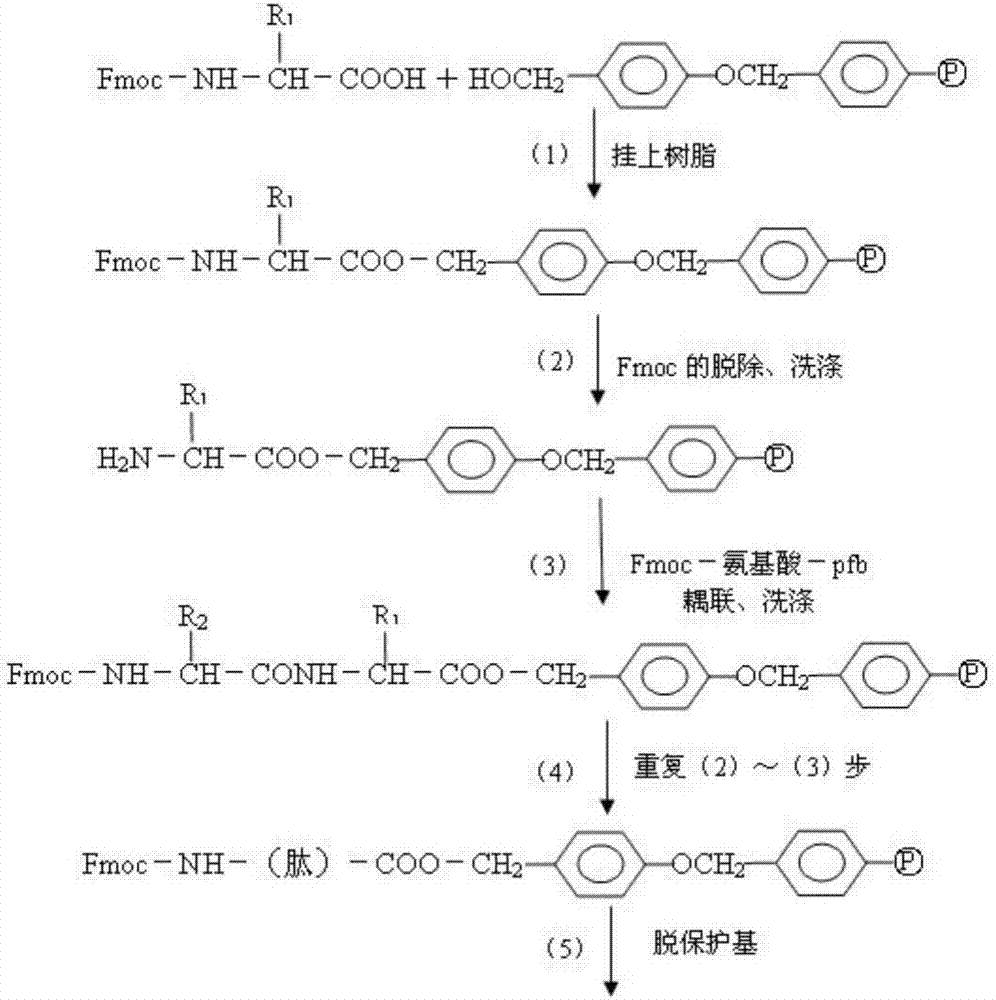 Fluorescent immunochromatographic test paper for detecting human apoe-ε4 protein and preparation method thereof