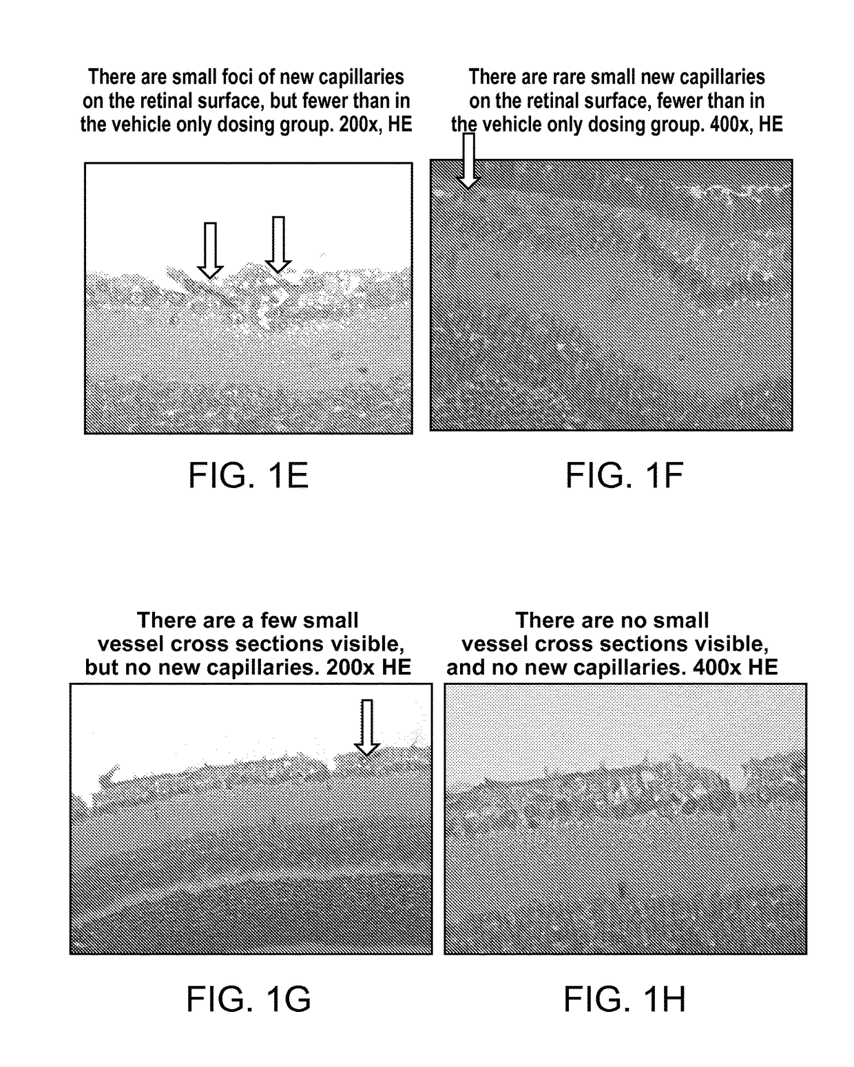 Ophthalmic compositions of rifamycins and uses thereof