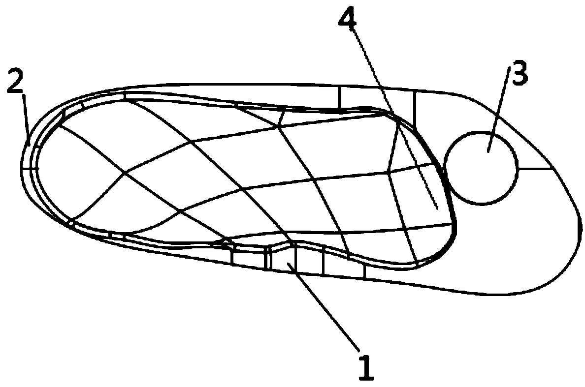 Personalized customized orthopaedic insole and manufacturing method thereof