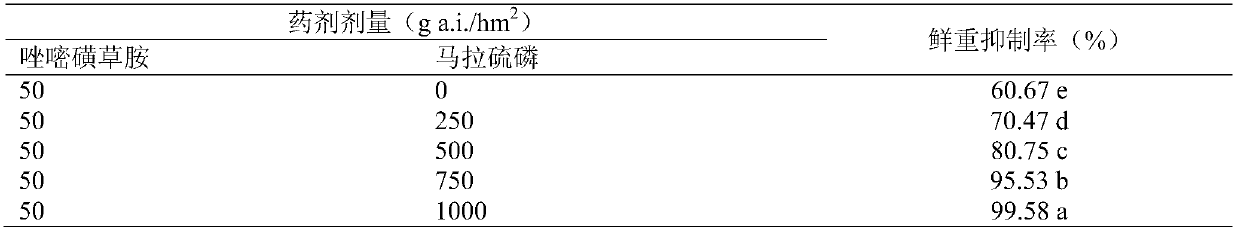 Flumetsulam and malathion synergistic composition for preventing and killing resistant weeds and application thereof