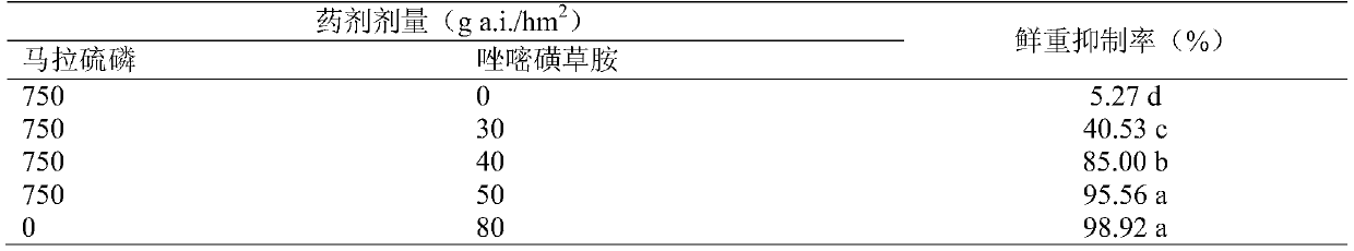 Flumetsulam and malathion synergistic composition for preventing and killing resistant weeds and application thereof