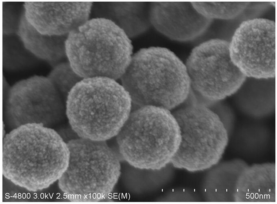 A method for rapid detection of bacterial endotoxin