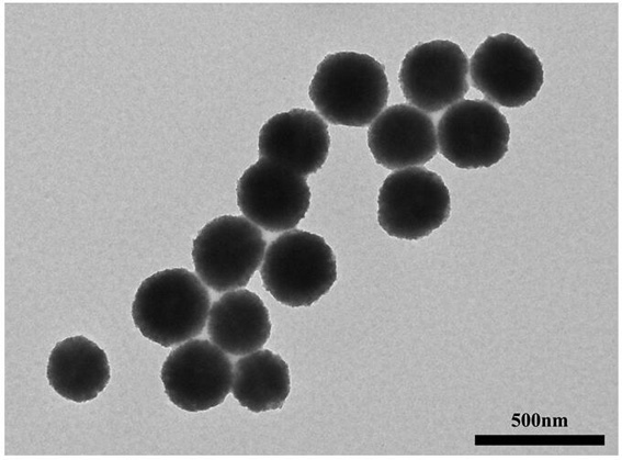 A method for rapid detection of bacterial endotoxin