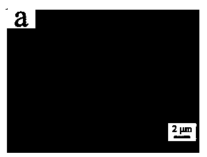 Cellulose nano-fiber/polymethyl methacrylate composite film preparation method